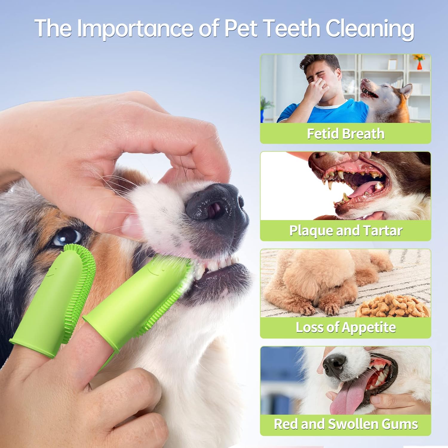 How to Clean Your Dog’s Teeth at Home Without Stress