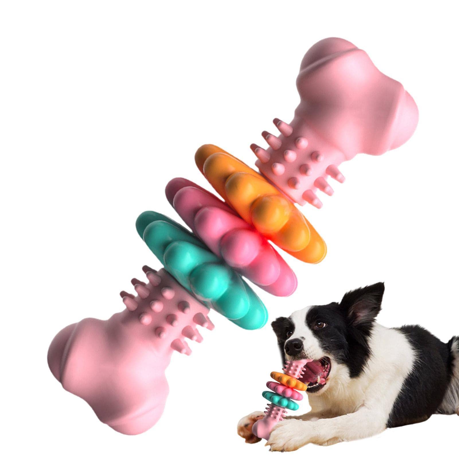 Long-Lasting Dog Chew Bone for Playful Pups