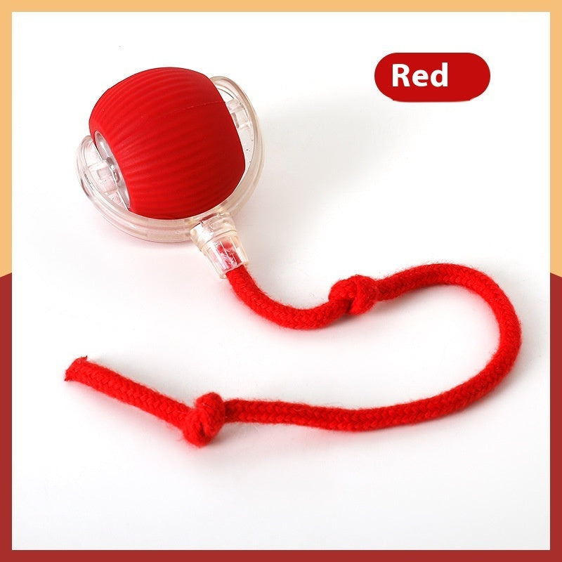 CUIZBEE Automatic Rolling Cat Toy Ball for Active Kitties