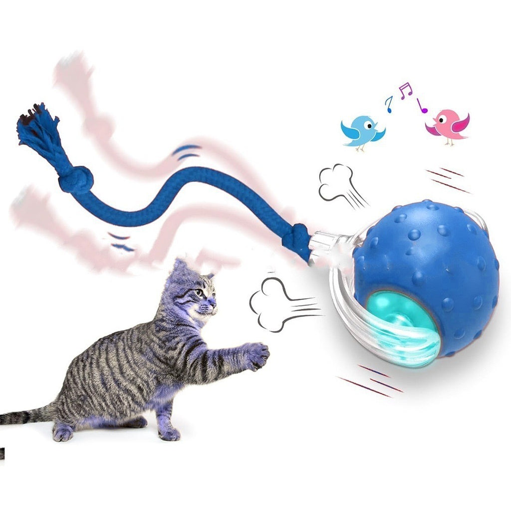 CUIZBEE Automatic Rolling Cat Toy Ball for Active Kitties