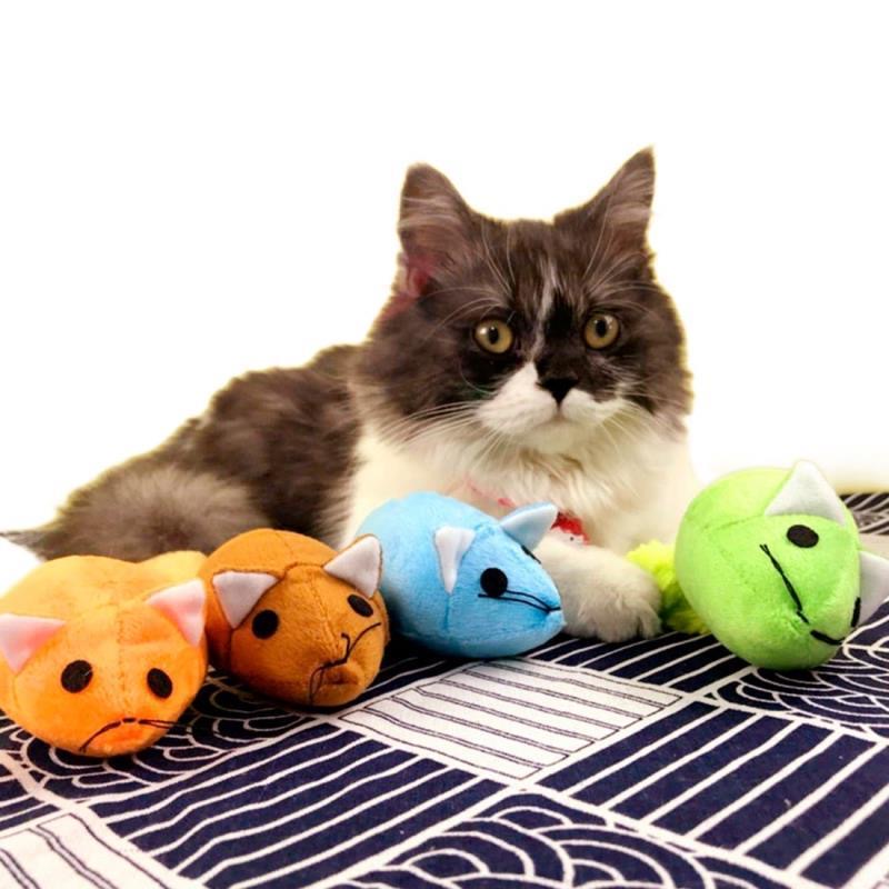 CUIZBEE Exciting Mouse Teaser Toy for Curious Cats