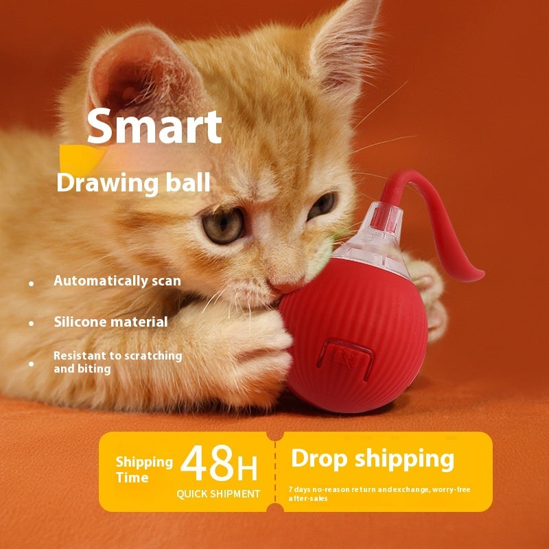 CUIZBEE Automatic Rolling Cat Toy Ball for Active Kitties