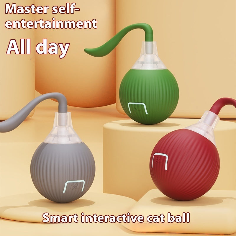 CUIZBEE Automatic Rolling Cat Toy Ball for Active Kitties