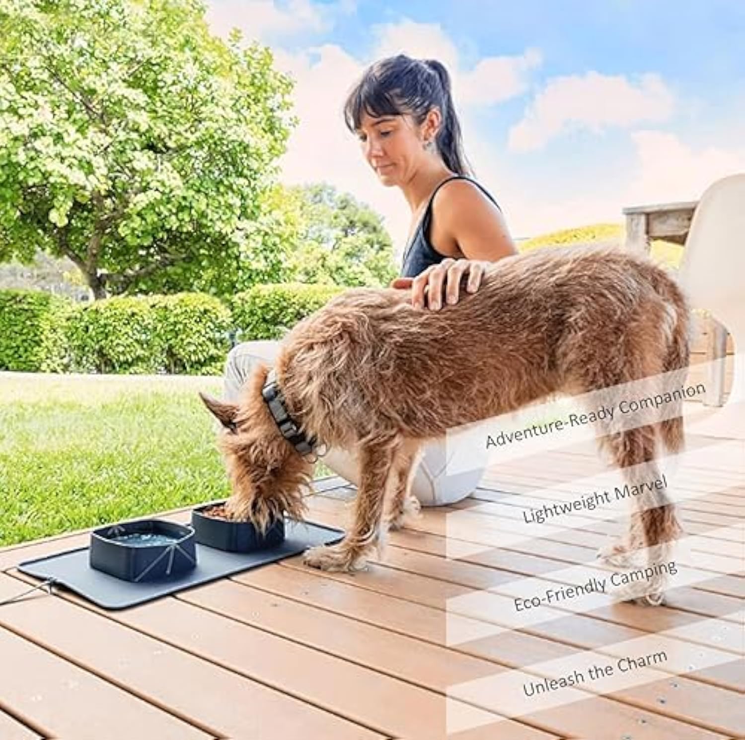 Travel Friendly Silicone Pet Bowl for Food and Water