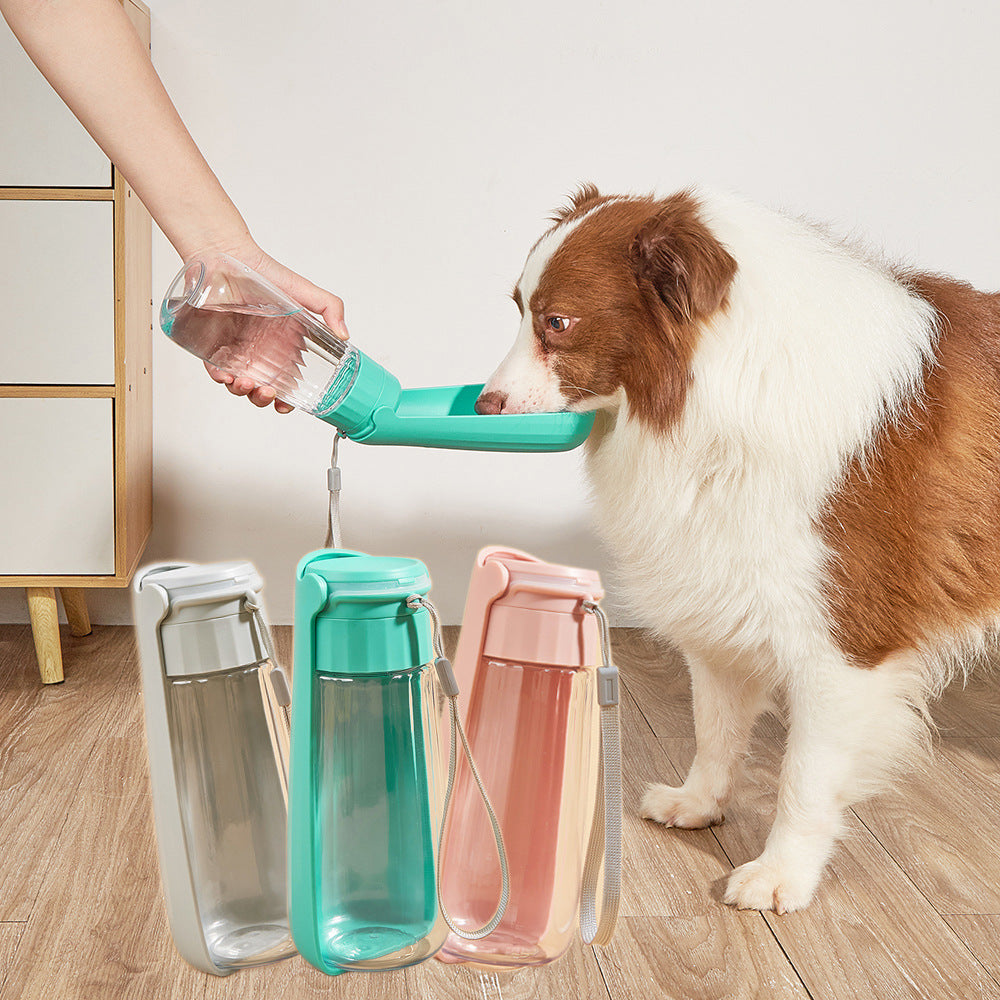 Outdoor Dog Water Bottle for Walks and Road Trips
