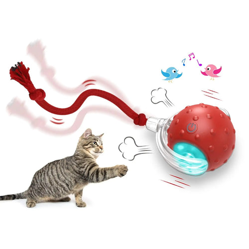 CUIZBEE Automatic Rolling Cat Toy Ball for Active Kitties